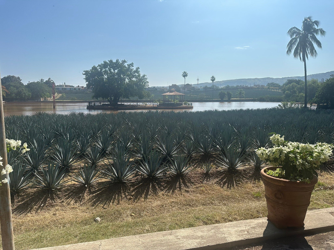 Tequila Fortaleza-特基拉必去景点