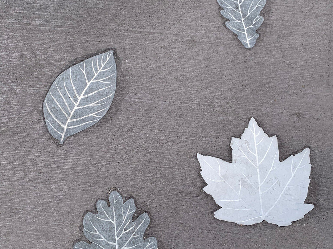 Morton Arboretum-Lisle必去景点