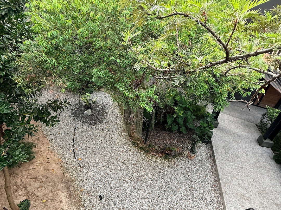 Wheeler Bed &Bike主图