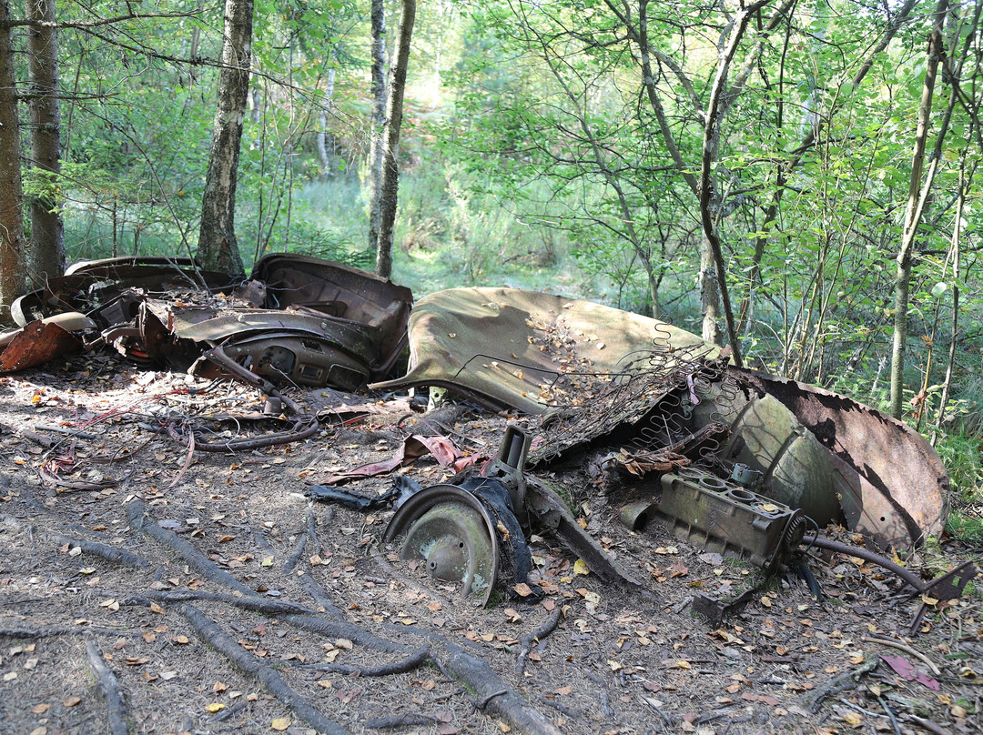 Kyrkö Mosse-Ryd必去景点