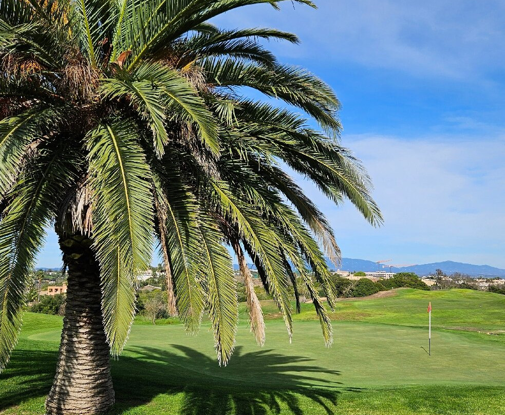 Boavista Golf & Spa Resort主图