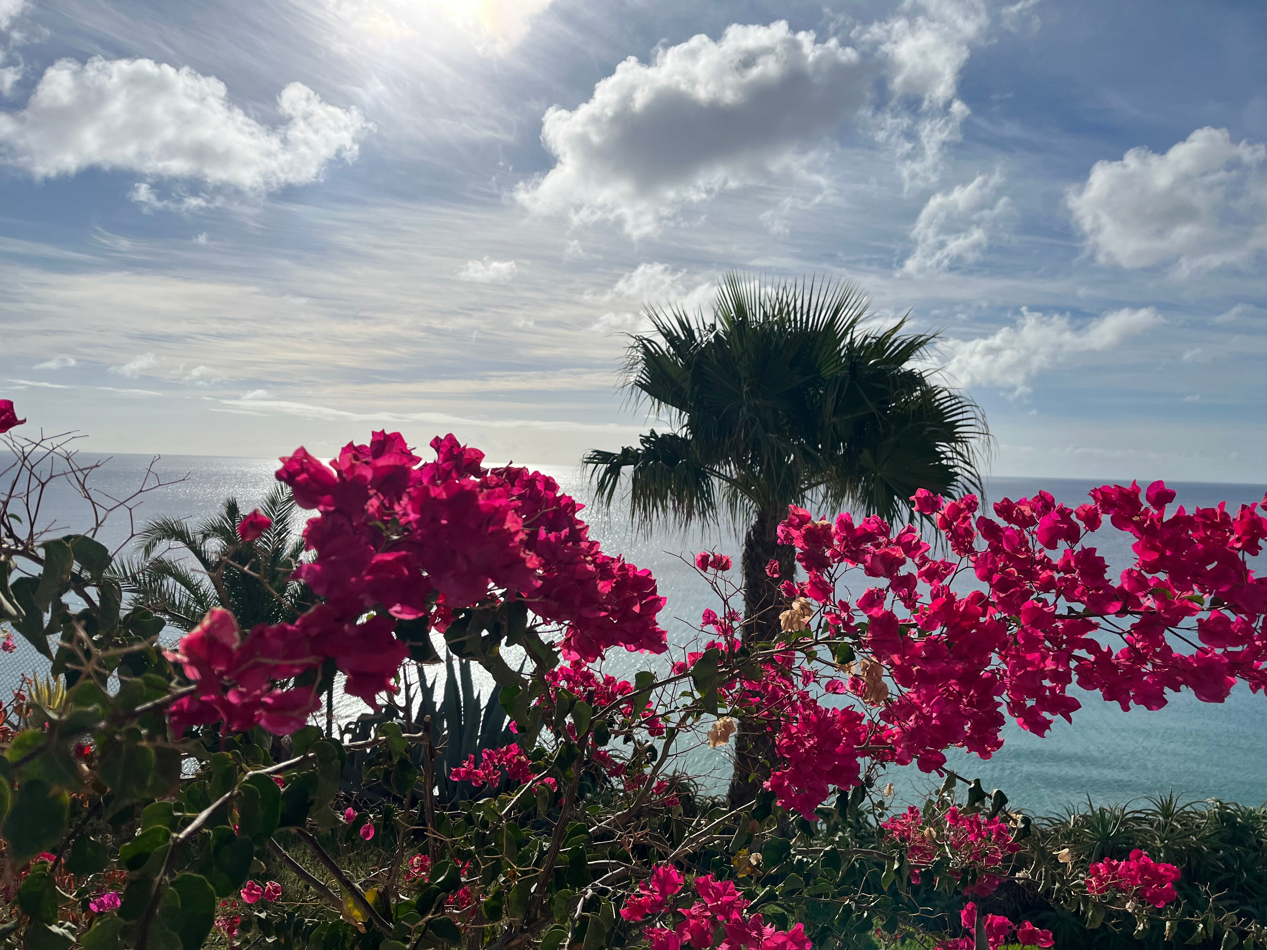 Robinson Esquinzo Playa-泳池