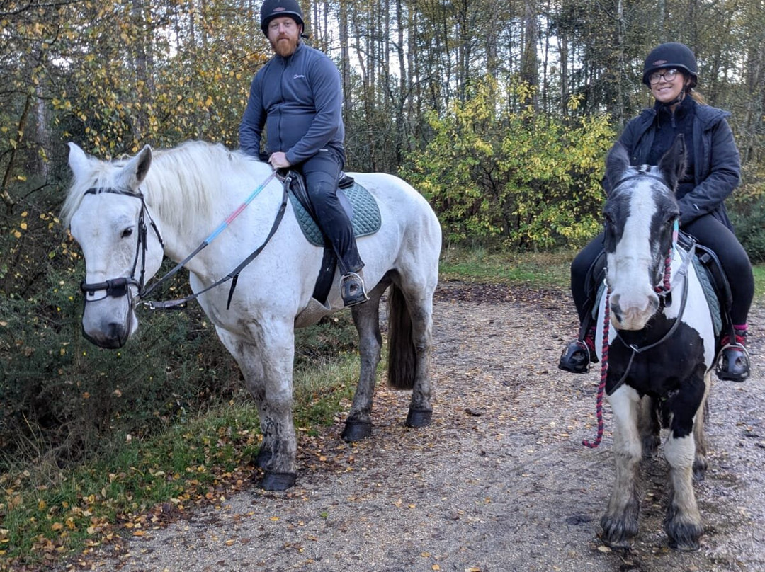 Eastmoors Forest Rides-St Leonards必去景点