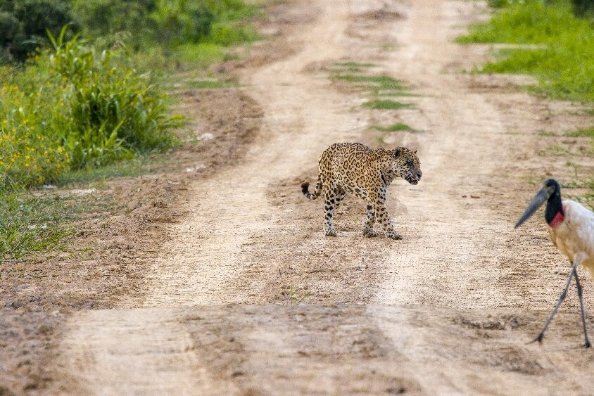 Nick's Adventures Bolivia-圣克鲁斯省必去景点