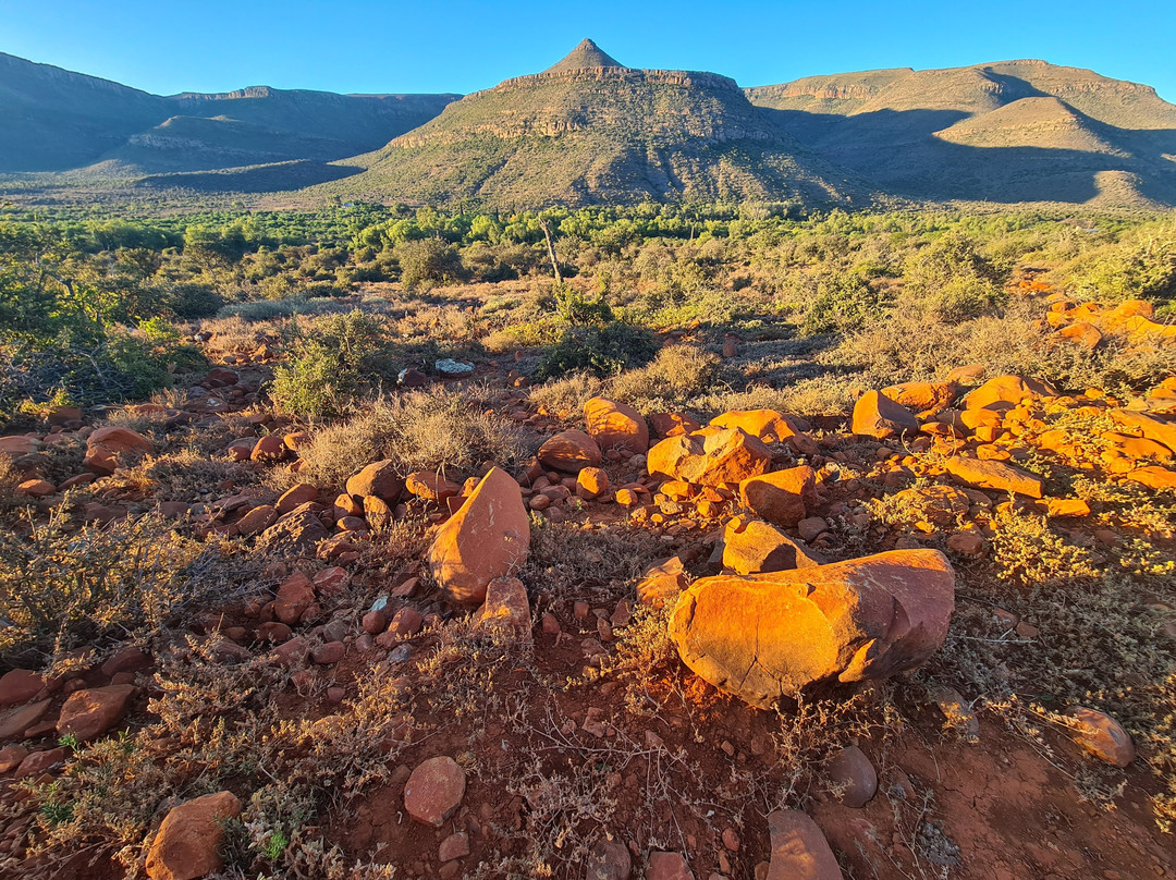 Mount Camdeboo Private Game Reserve主图