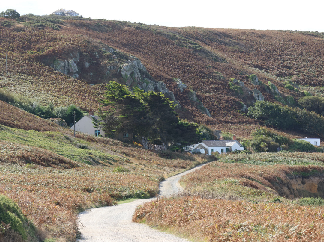Alderney Coastal Path-Alderney必去景点