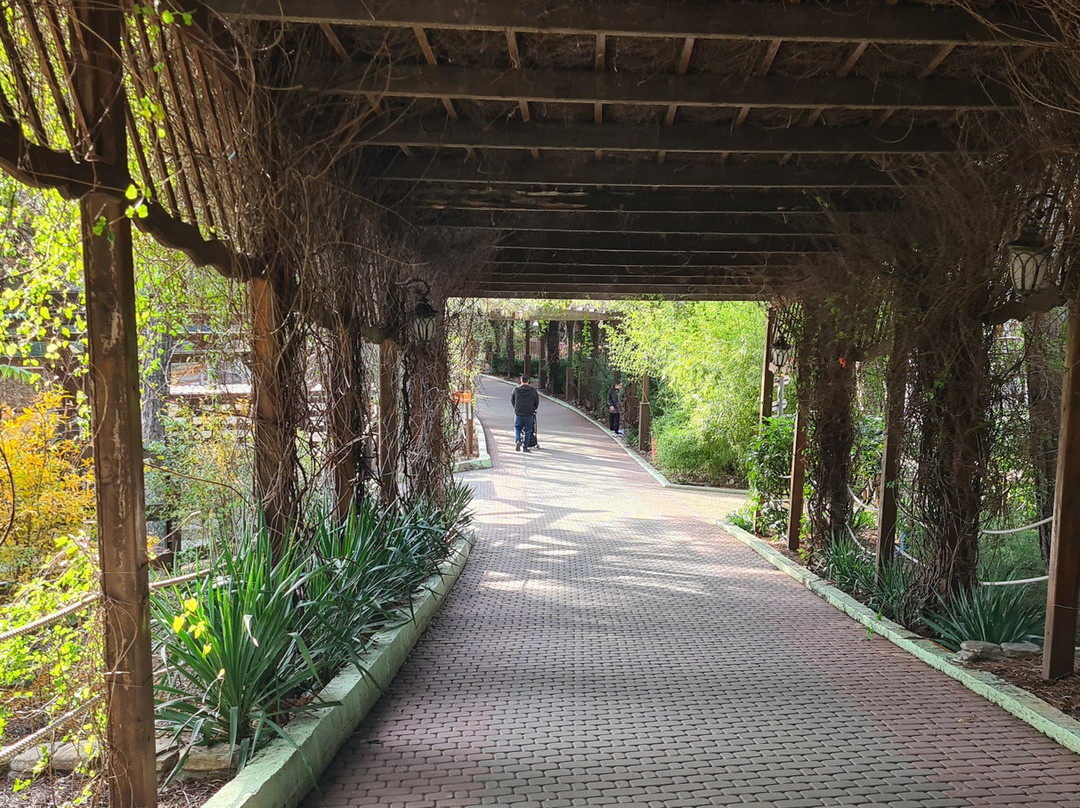 Safari Park-Gelendzhik必去景点