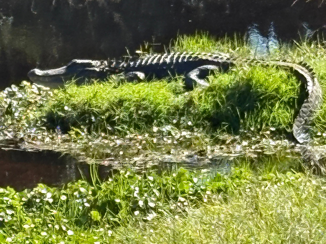Arthur Hills Golf Course-希尔顿头岛必去景点