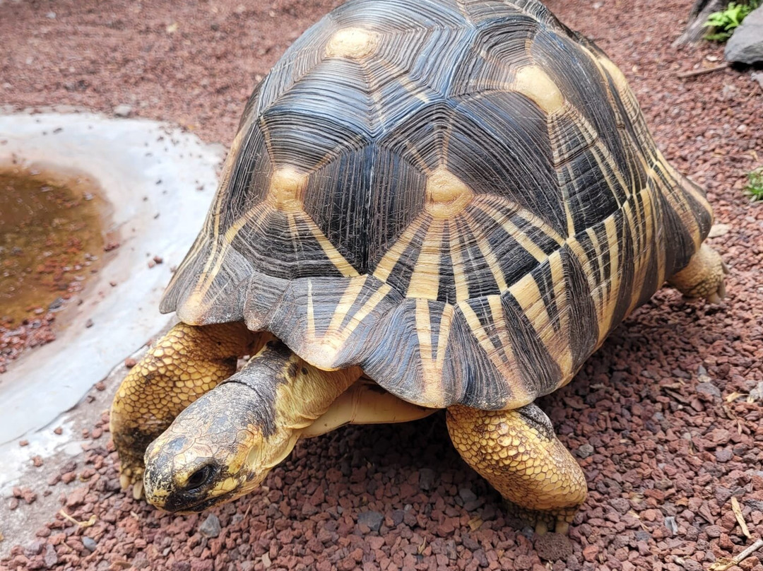 Maison Folio-埃勒堡必去景点