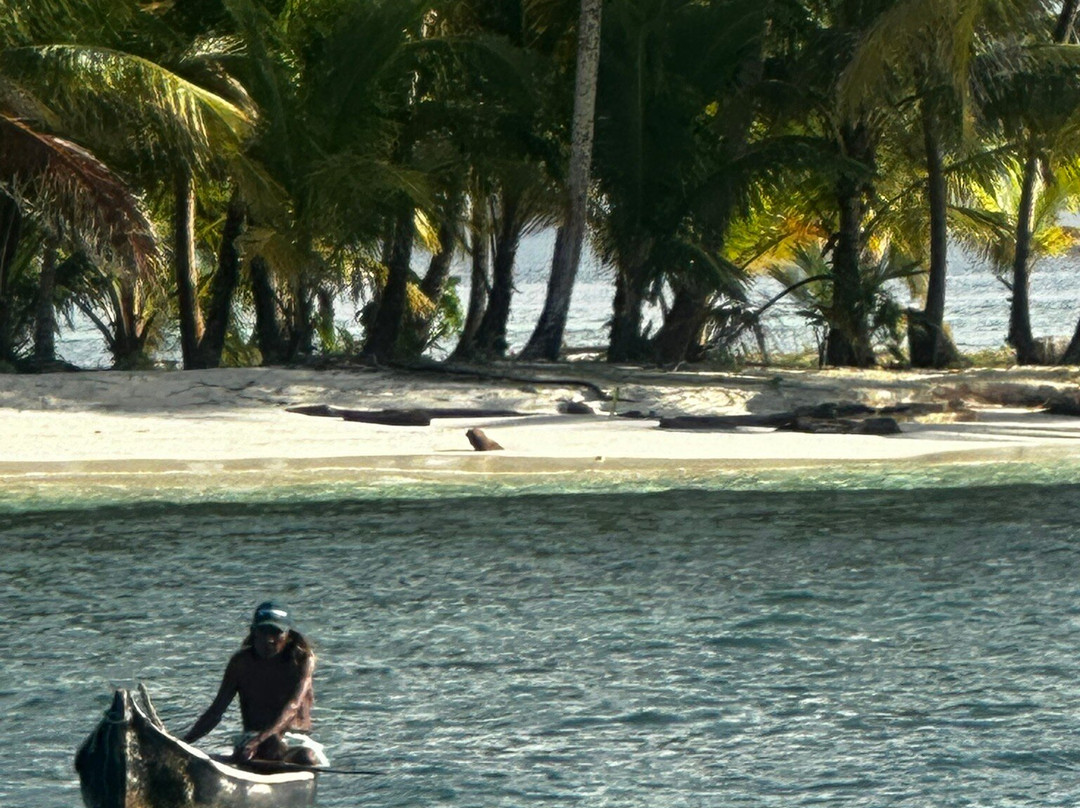 Flying Ginny Catamaran Charter-埃尔波韦尼尔必去景点