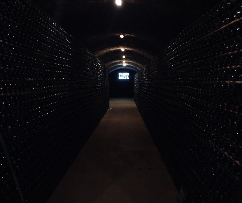 Parés Baltà-Pacs del Penedes必去景点