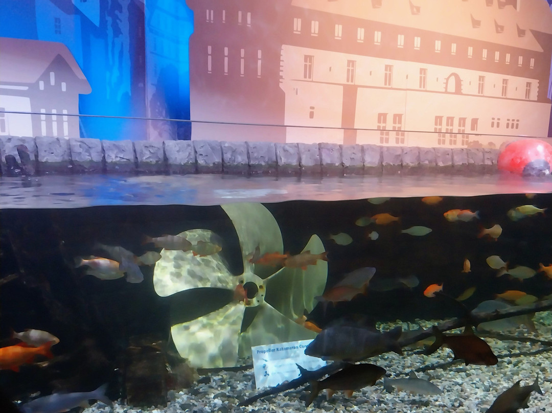 SEA LIFE Konstanz-康士坦茨必去景点