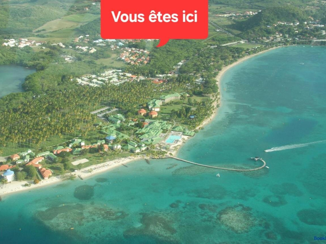 Antilles Liberte