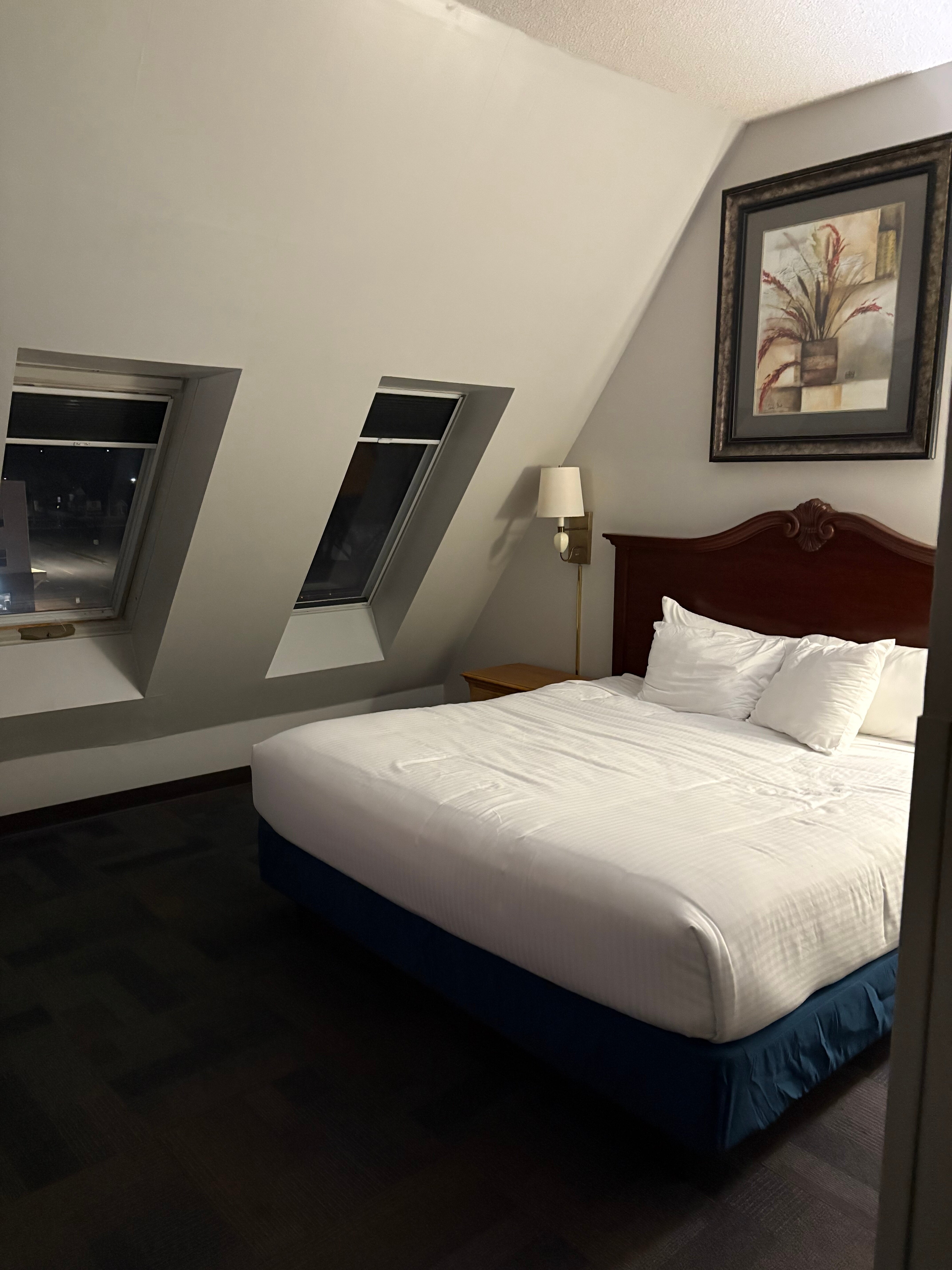 The Hotel Ojibway, Trademark Collection by Wyndham-客卧