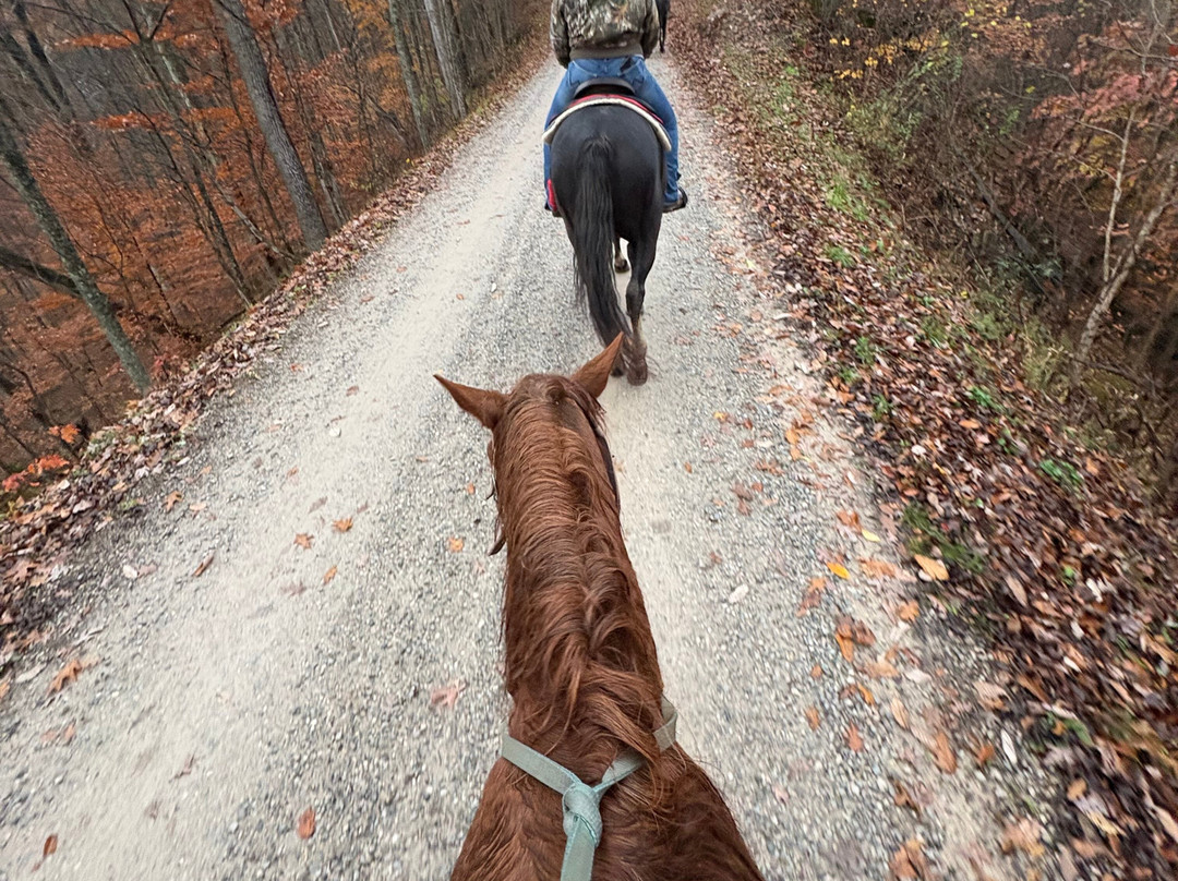 Uncle Buck's Riding Stable-New Marshfield必去景点