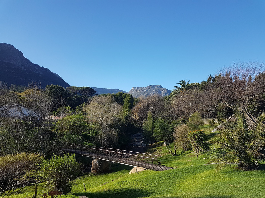 木湾酒店住宿-Thulani River Lodge