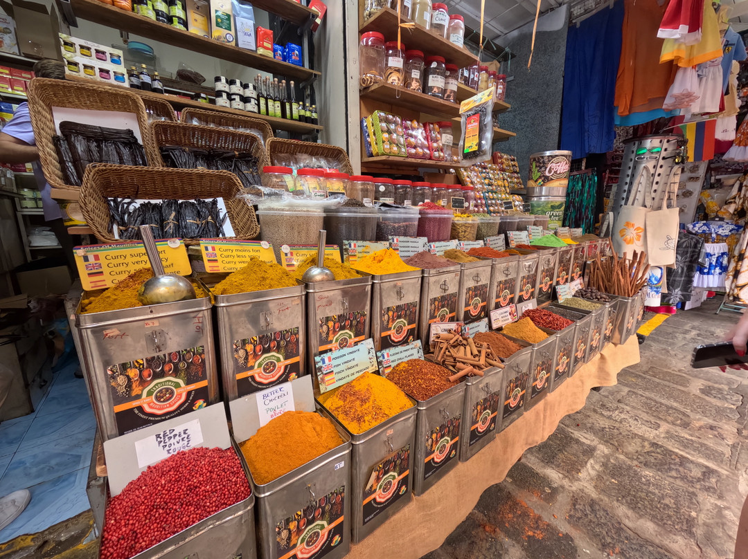 Paradisio Excursions Ile Maurice-大湾必去景点