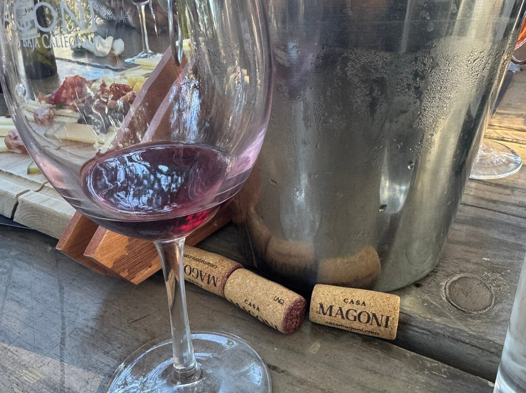 Valle De Vino Tours-Valle de Guadalupe必去景点