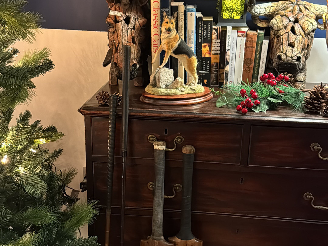 Yasar & Co. Antiques-赛伦塞斯特必去景点