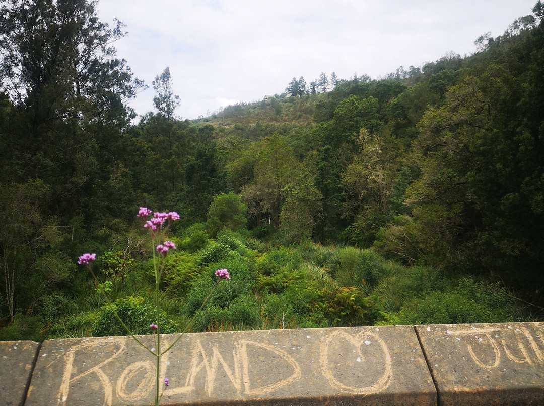 7 Passes Scenic Drive-克尼斯纳必去景点