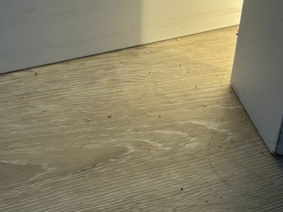 Pestana Blue Alvor Beach主图