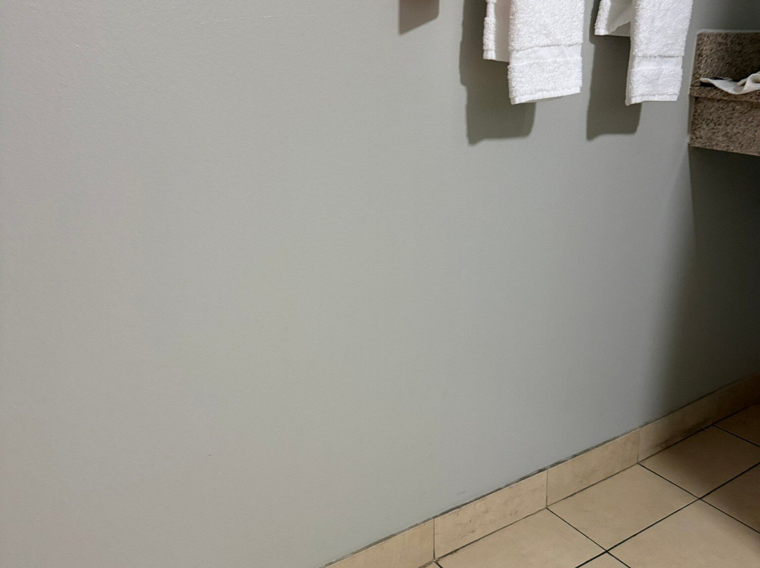 TownePlace Suites by Marriott The Villages主图