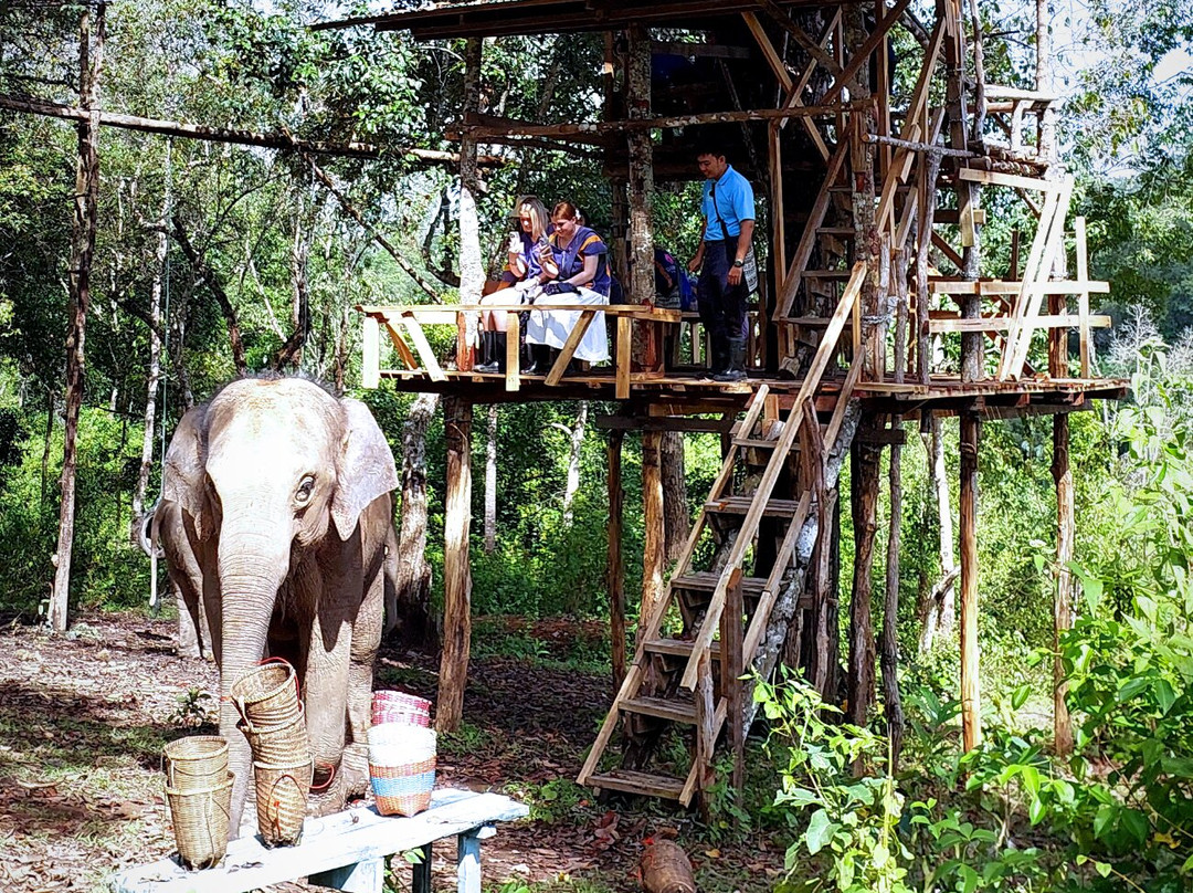 Blue Daily Elephant Care Sanctuary-清迈必去景点