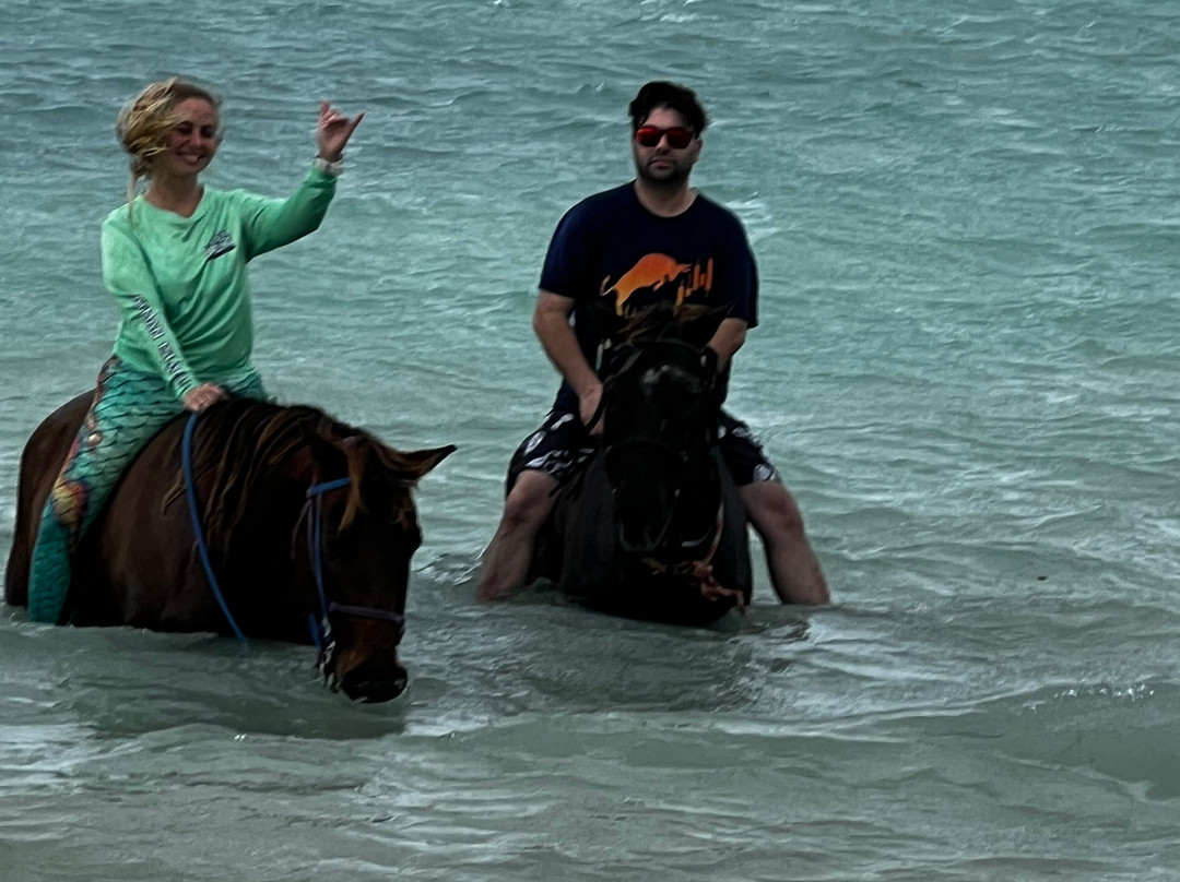 Cayman Horse Riding-西湾必去景点