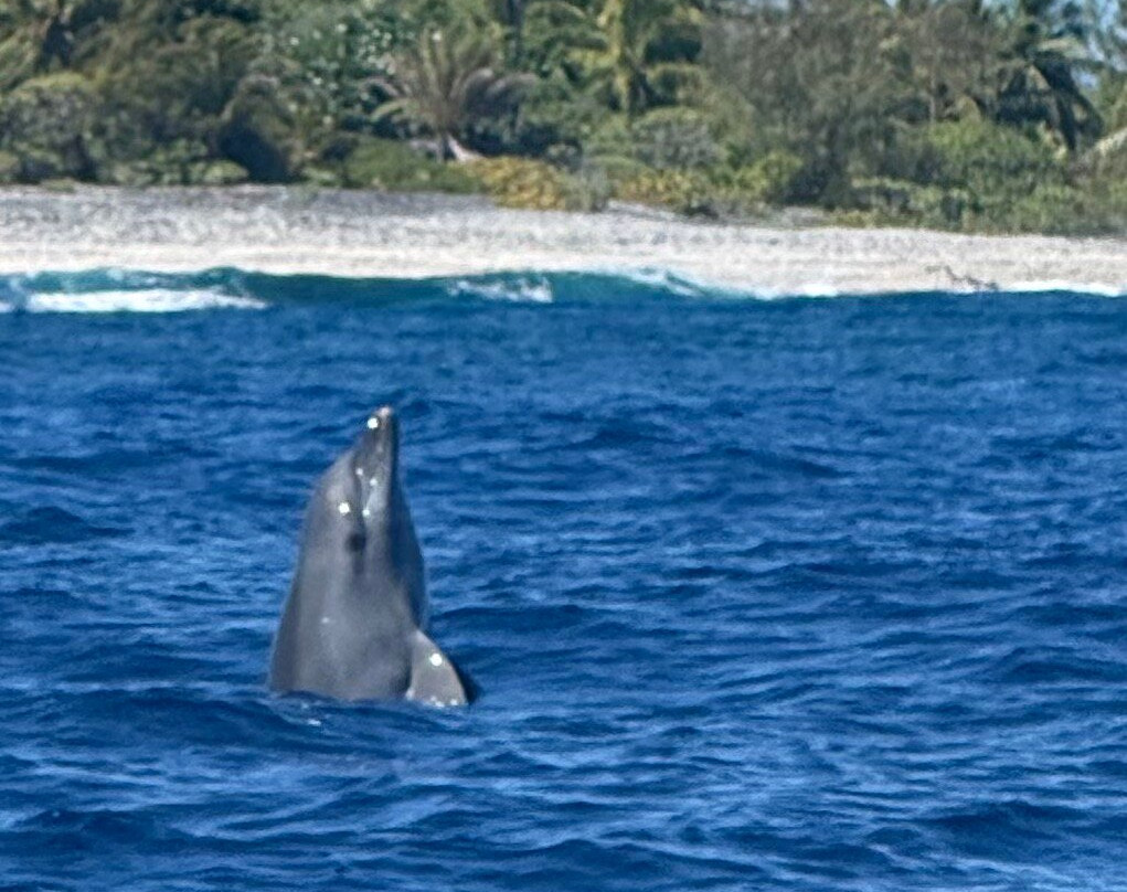 Ile aux Récifs-阿瓦托鲁必去景点