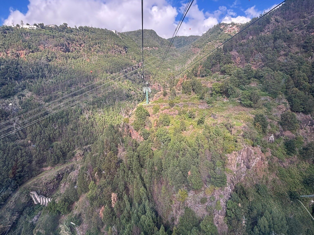 Botanical Garden Cable Car-沙尔必去景点