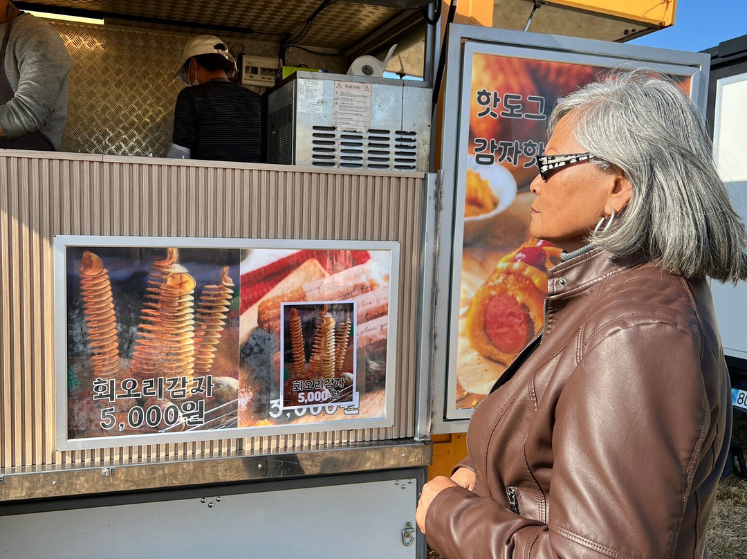 Gangcheon Island-骊州郡必去景点