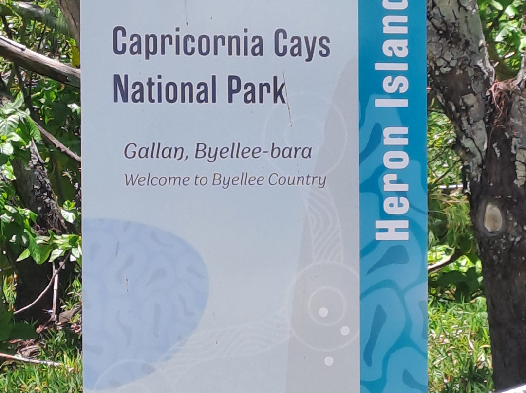 Gladstone Region Tours-Gladstone必去景点