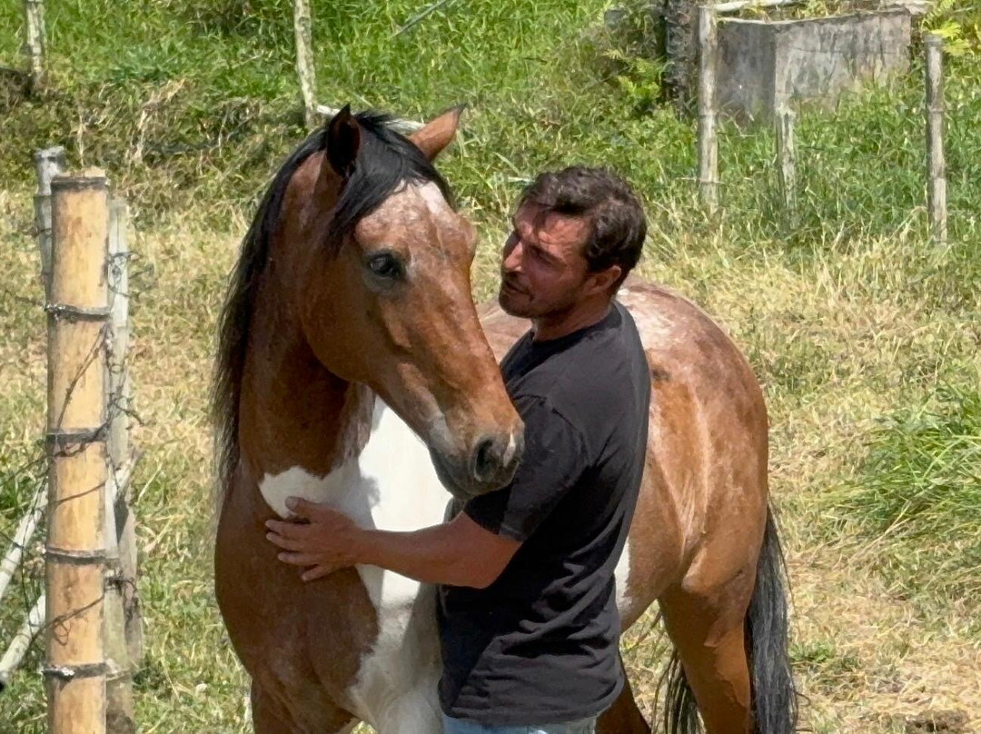 Rancho Saman-佩雷拉必去景点