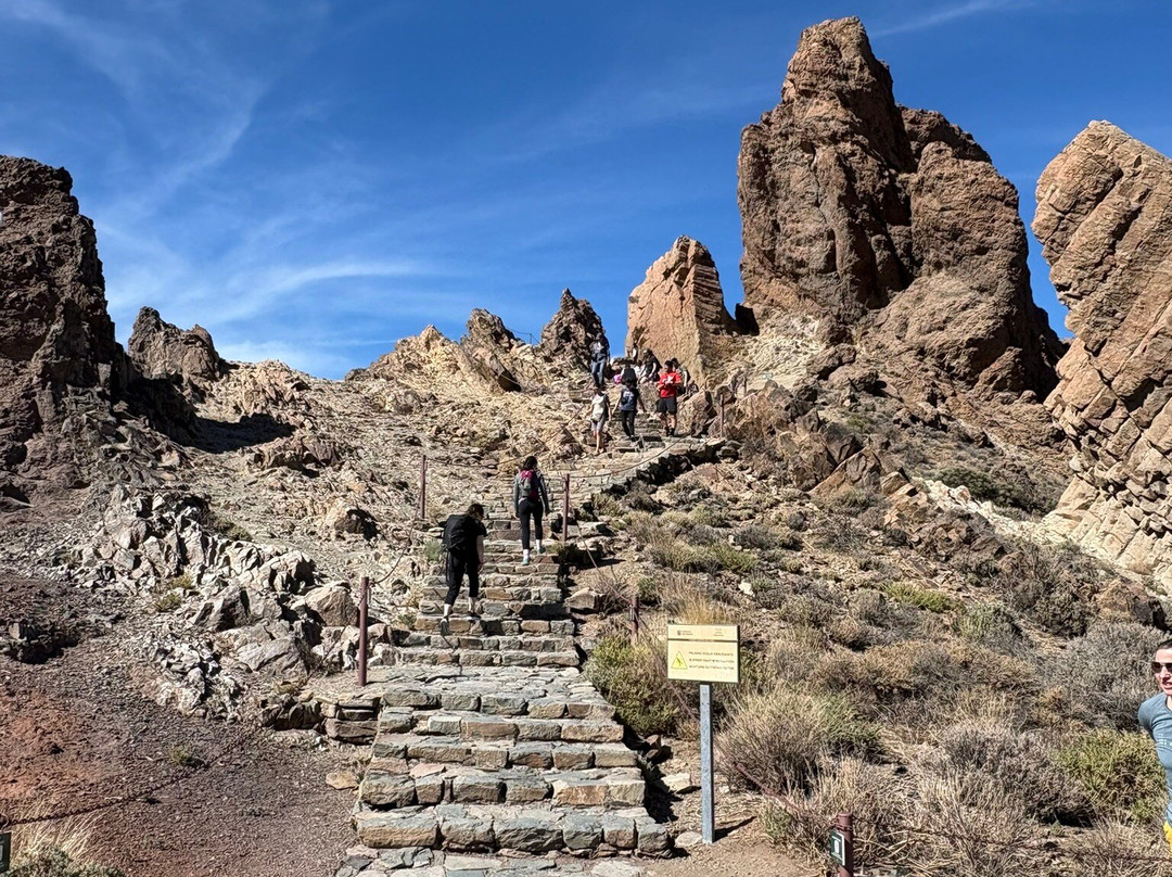 Eco-Tours Tenerife-洛斯克里斯蒂亚诺斯必去景点