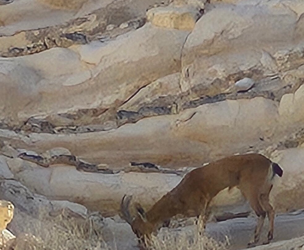 Zin River-贝尔谢巴必去景点