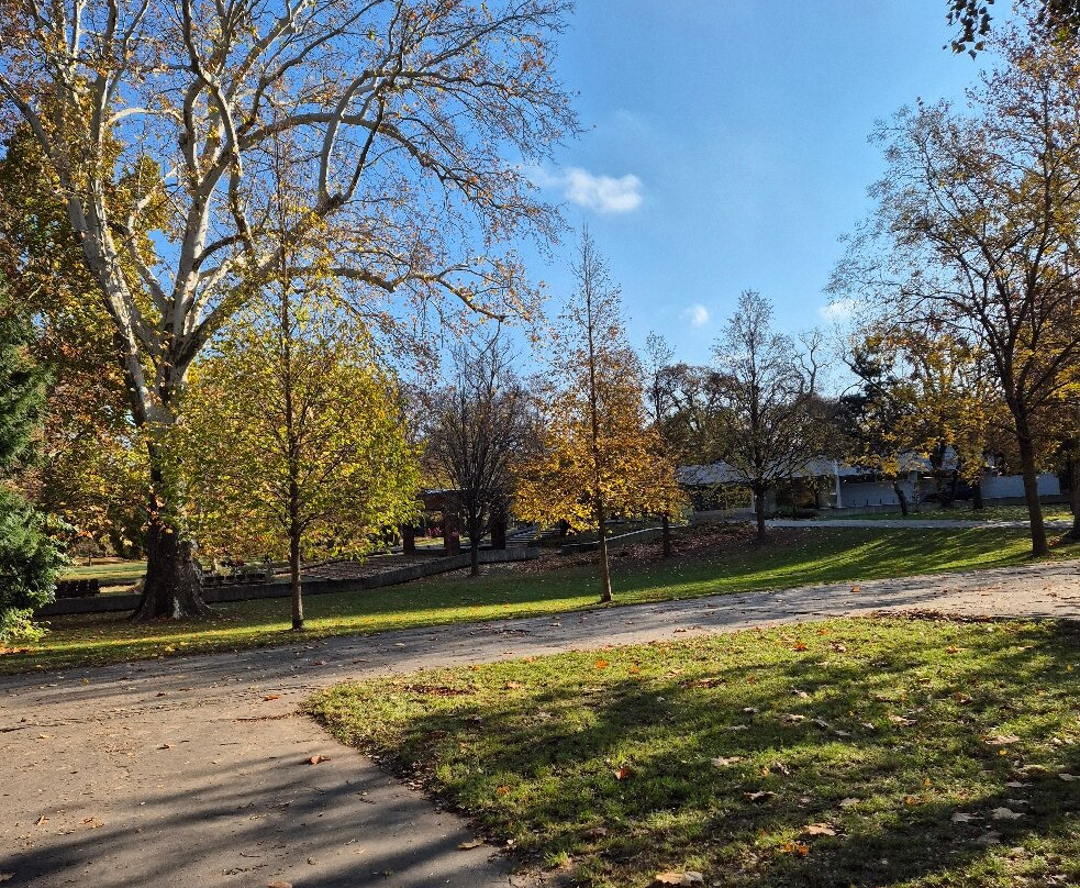 Sad Janka Kráľa-布拉迪斯拉发必去景点