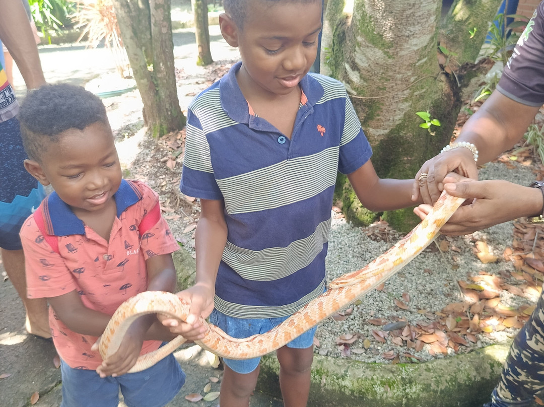 Parque Ecológico A Tribuna-Mongagua必去景点