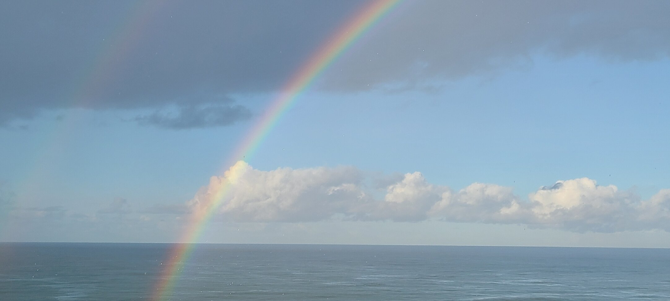 卡尔斯巴德酒店海滩度假村-官方