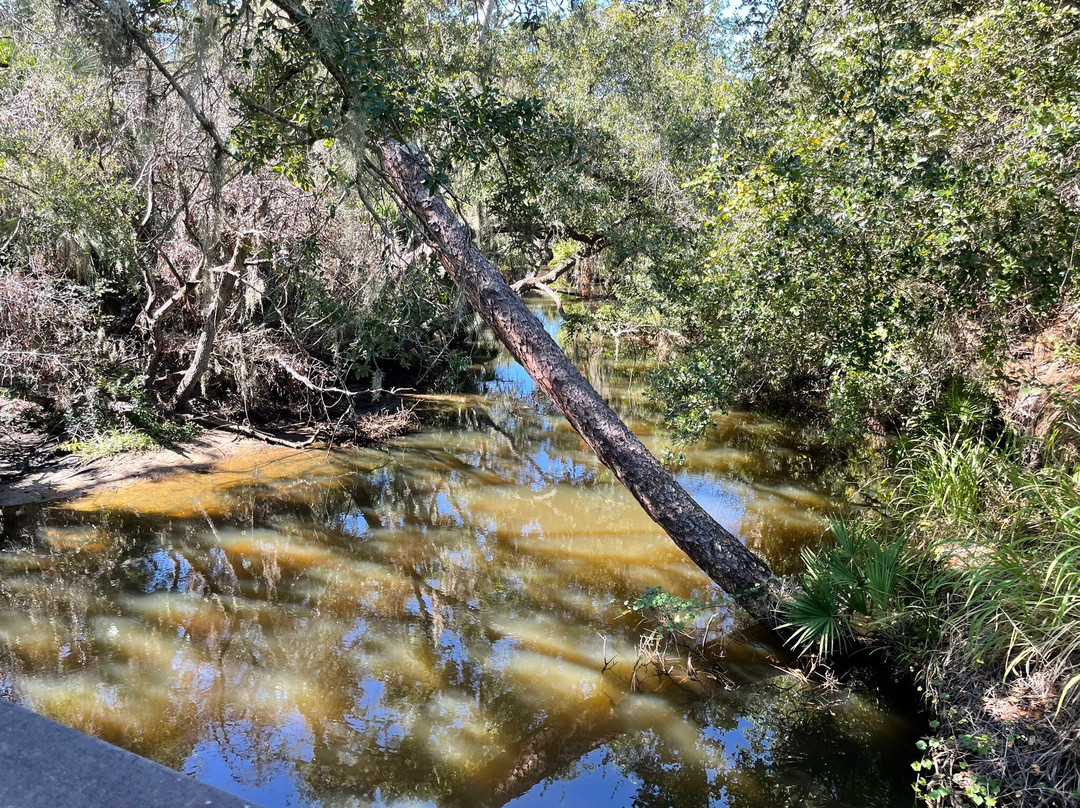 Oscar Scherer State Park-Osprey必去景点
