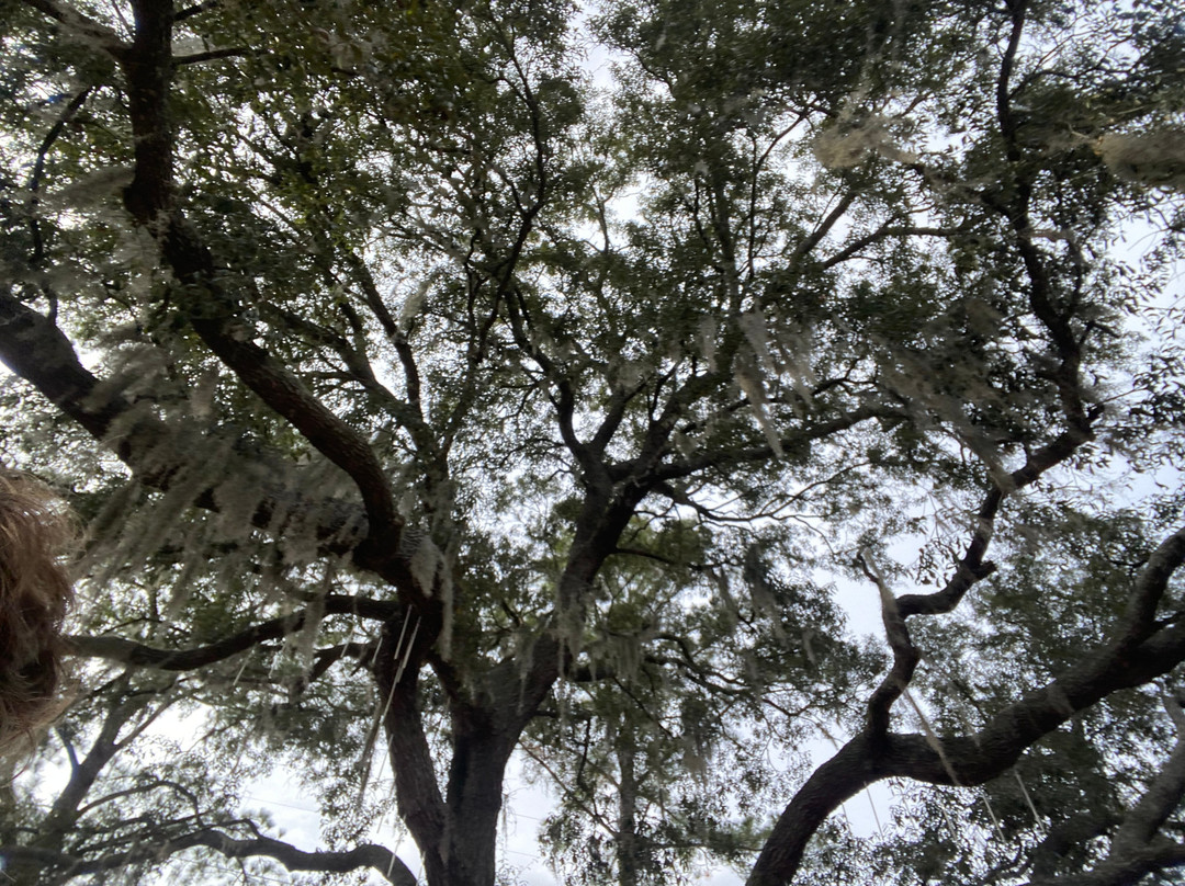 Rooterville Animal Sanctuary-Melrose必去景点