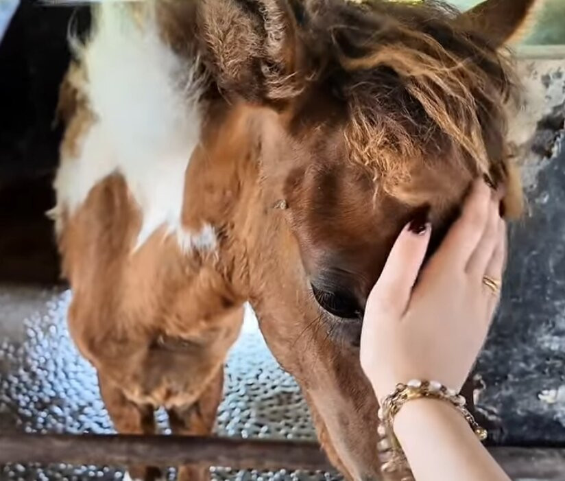 Alphaland Balesin Island Club-Polillo Island必去景点