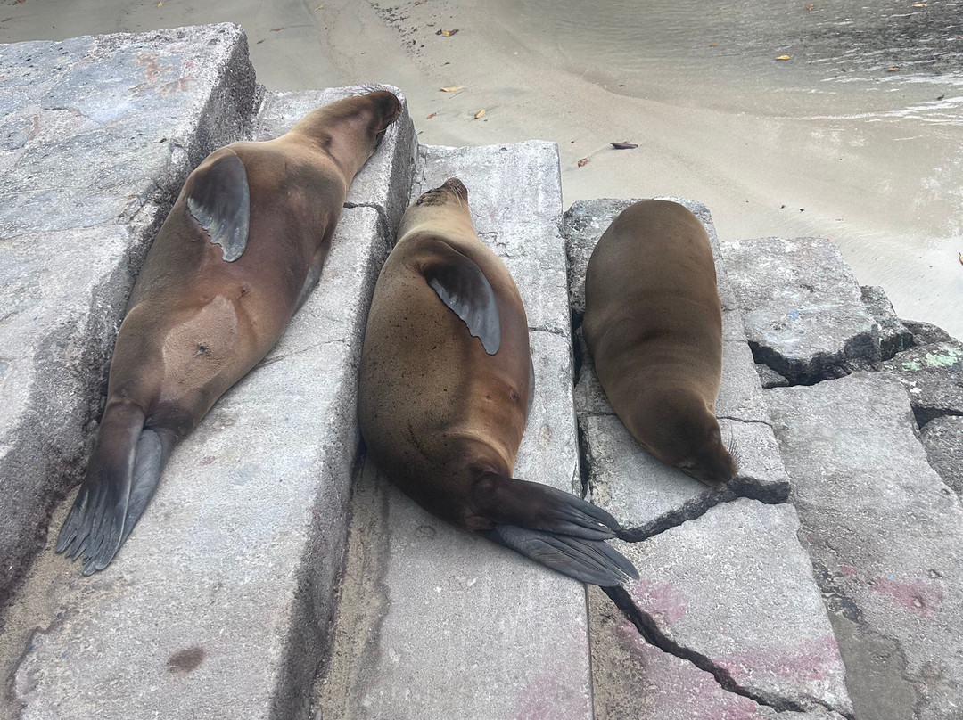 Galapagos by Local Guides-圣克鲁斯必去景点