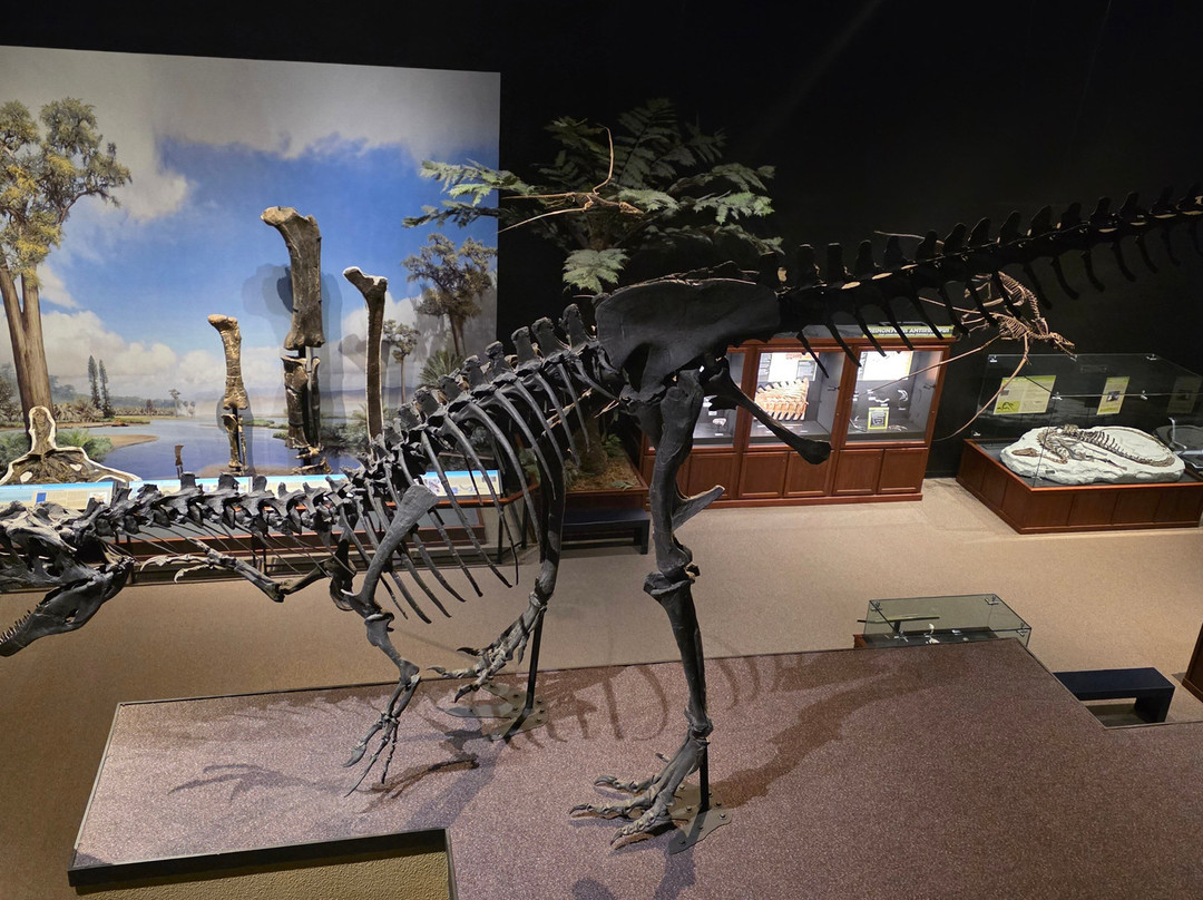 Museum of the Rockies-博兹曼必去景点