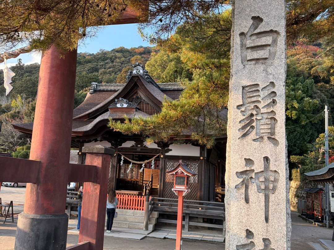 白须神社-高岛市必去景点