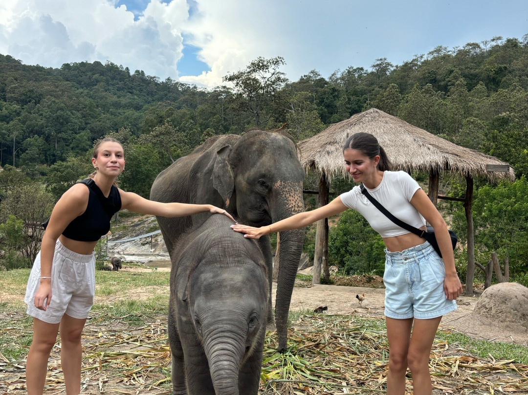 Pon Elephant Thailand-清迈必去景点