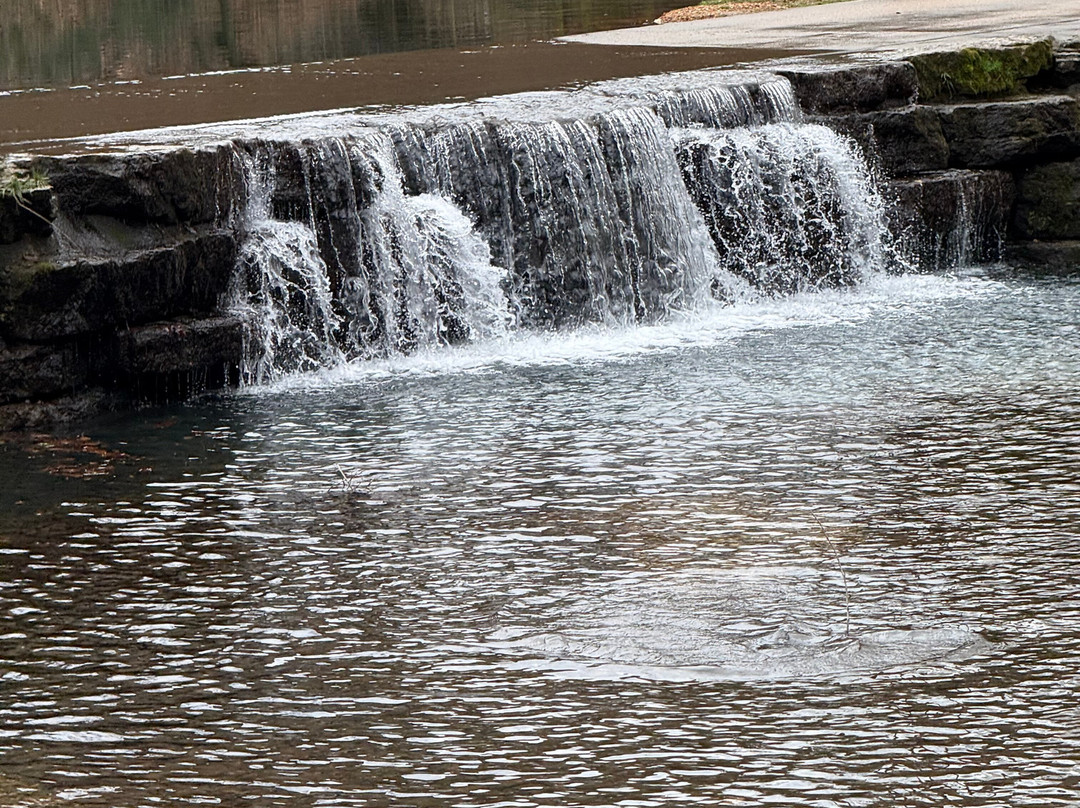 Dogwood Canyon Nature Park-Lampe必去景点