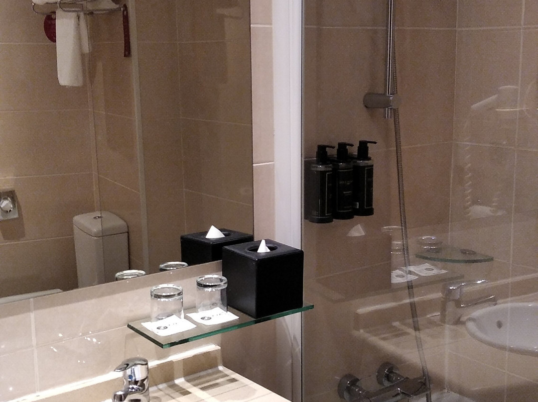 Hotel Exe Puerta de San Pedro主图