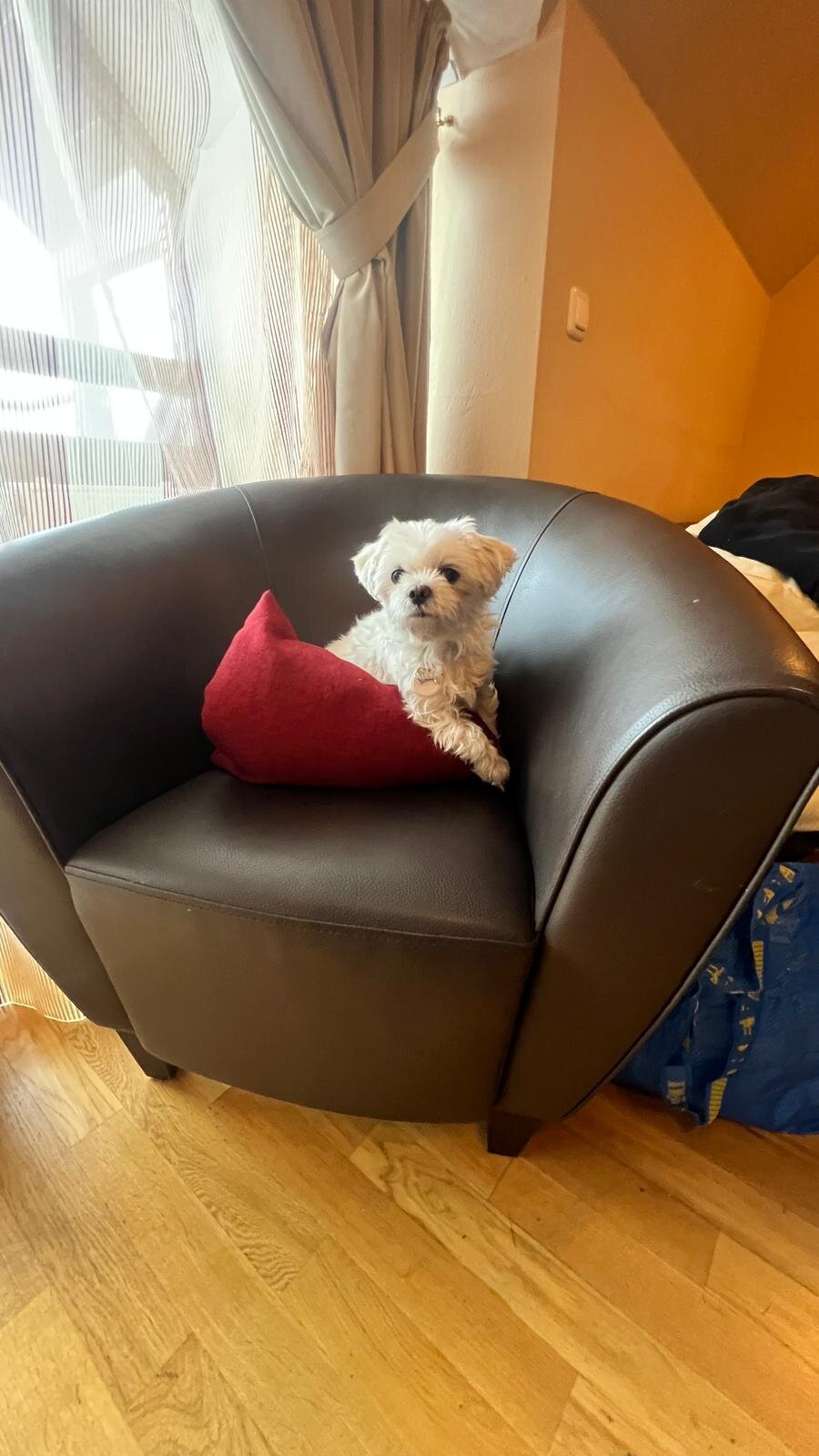 雷瑟尔公园酒店-客卧