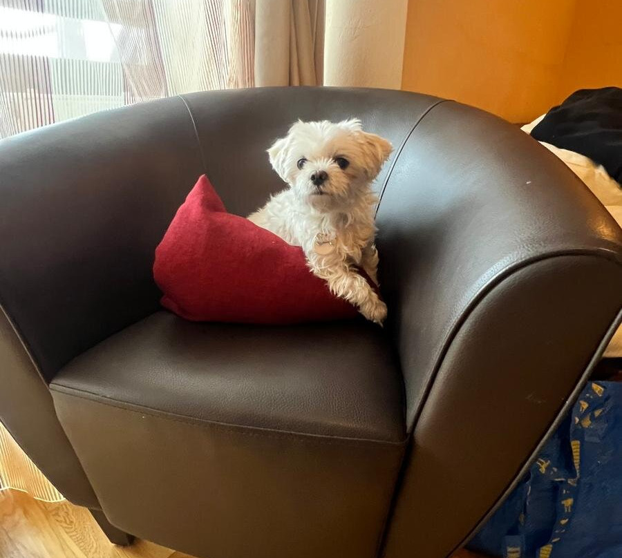 雷瑟尔公园酒店主图