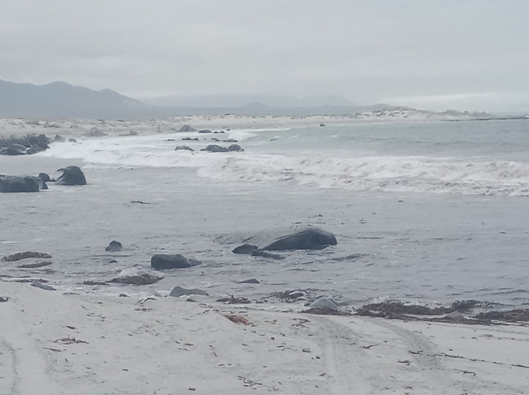 Parque Nacional Llanos del Challe-Huasco必去景点